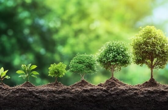 The Power of G.R.O.W.T.H: How to Build Goals, Accountability, and Tenacity to Elevate Higher